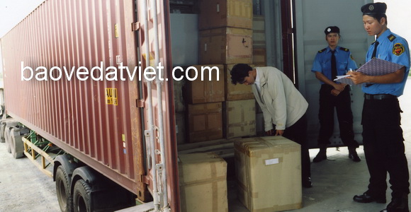 Công Ty TNHH Dịch Vụ Bảo Vệ Đất Việt – Trụ Sở Chính