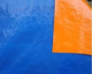 Công Ty TNHH Phát Thành Tài