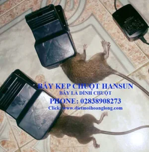 Công Ty TNHH Phát Triển Công Nghệ Sinh Hóa Hoàng Long