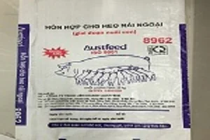 Công Ty TNHH Hải Đăng – KB