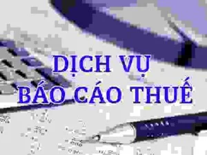 Công Ty TNHH MTV Thương Mại Dịch Vụ Trần Đình Tùng