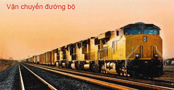 Công Ty Cổ Phần Quốc Tế Tiến Thành