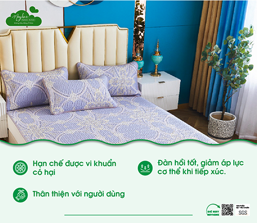 Đệm Gối Cao Su Thiên Nhiên Mayhome – Công Ty TNHH Sản Xuất Thương Mại Phát An Nhiên