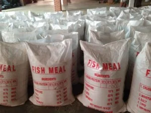 Công Ty TNHH Thuận Thành Phát