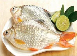 Công Ty TNHH Một Thành Viên Hùng Phúc