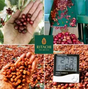 Ritachi Coffee – Công Ty TNHH Nosavi