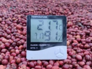 Ritachi Coffee – Công Ty TNHH Nosavi
