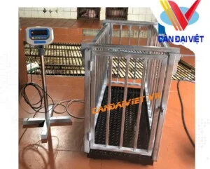 Công Ty CP Cân Điện Tử Đại Việt