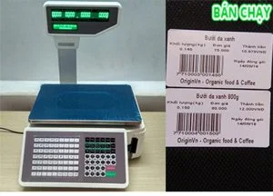 Cân Điện Tử Toàn Thịnh Phát – Công Ty TNHH Cân Điện Tử Toàn Thịnh Phát