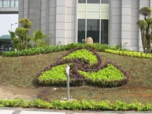 Thiết Kế Thi Công Cảnh Quan – Công Ty TNHH Cẩm Tú