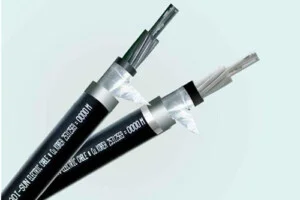 Công Ty Cổ Phần Thiết Bị Điện Tự Động An Phát