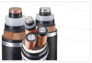 Công Ty Cổ Phần Thiết Bị Điện Tự Động An Phát