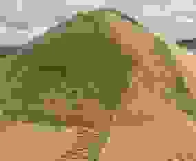 Hợp Tác Xã Nông Nghiệp – Thương Mại – Dịch Vụ Vĩnh Tiến