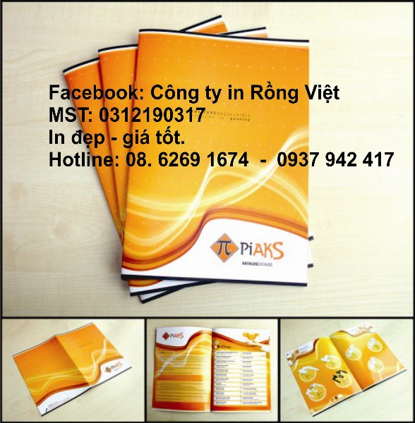 Công Ty TNHH Một Thành Viên Thiết Kế Đồ Họa Và In ấn Rồng Việt