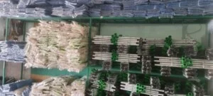 Cây Lau Nhà Lệ Chi – Công Ty TNHH Sản Xuất Thương Mại Lệ Chi