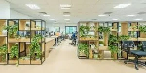 Cây Xanh Trần Phương – Công Ty TNHH Thương Mại Và Dịch Vụ Trần Phương