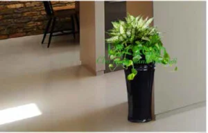 Công Ty TNHH Dịch Vụ Lộc Xanh