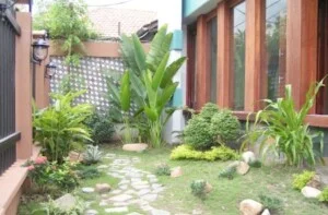 Cây Xanh Trần Phương – Công Ty TNHH Thương Mại Và Dịch Vụ Trần Phương