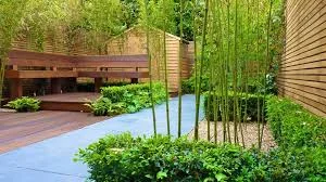 Cây Xanh Trần Phương – Công Ty TNHH Thương Mại Và Dịch Vụ Trần Phương