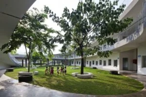 Cây Xanh Trần Phương – Công Ty TNHH Thương Mại Và Dịch Vụ Trần Phương