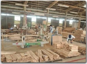 Cung ứng Nhân Lực M D – Công Ty TNHH Thương Mại Và Dịch Vụ Cung ứng Nguồn Nhân Lực M D