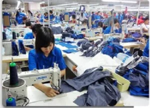 Cung ứng Nhân Lực M D – Công Ty TNHH Thương Mại Và Dịch Vụ Cung ứng Nguồn Nhân Lực M D