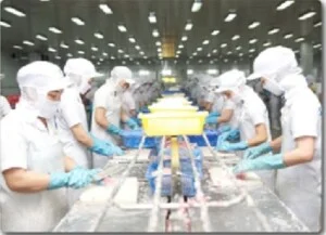 Cung ứng Nhân Lực M D – Công Ty TNHH Thương Mại Và Dịch Vụ Cung ứng Nguồn Nhân Lực M D