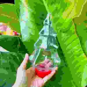 Chai Hũ Nhựa Pet Hình Nhân Vật – Công Ty TNHH Công Nghệ Hương Giang