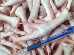 Công Ty TNHH San Hà