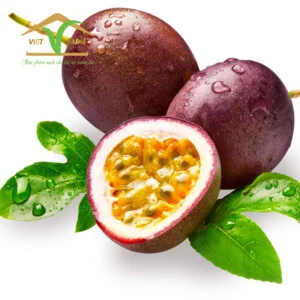 Công Ty TNHH Việt F.A.R.M
