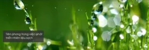 Công Ty Cổ Phần Xăng Dầu Dầu Khí Vũng Tàu