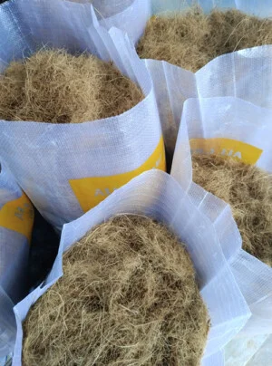 Đất Sạch Tiền Giang – Cơ Sở Sản Xuất Vạn Phát