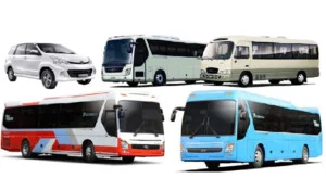Công Ty Cổ Phần Tập Đoàn Nam Phong