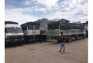 Vận Tải Hữu Nguyên – Công Ty TNHH Thương Mại Dịch Vụ Vận Tải Hữu Nguyên