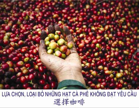 Công Ty TNHH Sản Xuất Thương Mại Cao Sang Mãn