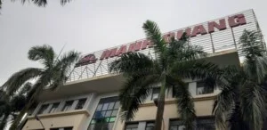 Thi Công Quảng Cáo Tinh Hoa Việt – Công Ty TNHH Thương Mại Và Thi Công Quảng Cáo Tinh Hoa Việt