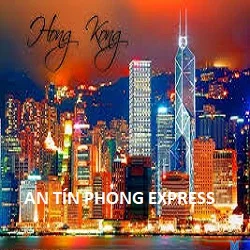 Công Ty Trách Nhiệm Hữu Hạn Thương Mại Dịch Vụ Xuất Nhập Khẩu An Tín Phong