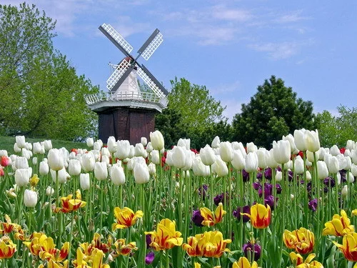 An Bình Express – Công Ty TNHH TM DV Vận Tải Quốc Tế An Bình Express