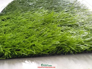 Cỏ Nhân Tạo Thanh Thưởng – Công Ty TNHH Đầu Tư Xây Dựng Và Thương Mại Thanh Thưởng