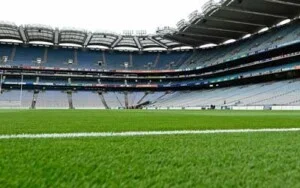 Cỏ Nhân Tạo Soladecor – Công Ty TNHH Đầu Tư Và Thương Mại Soladecor