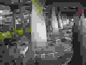 Công Ty TNHH Một Thành Viên Thái Hảo