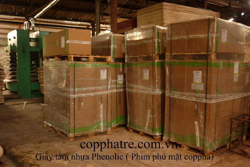 Công Ty CP Công Nghiệp Tre Gỗ Tiến Bộ