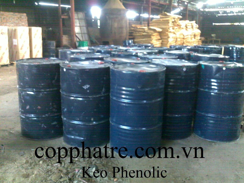 Công Ty CP Công Nghiệp Tre Gỗ Tiến Bộ