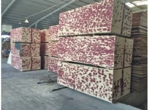 Công Ty TNHH Sản Xuất Thương Mại Dịch Vụ An Nhiên Phát