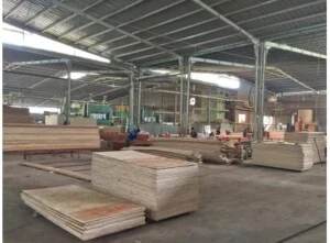 Công Ty TNHH Sản Xuất Thương Mại Dịch Vụ An Nhiên Phát