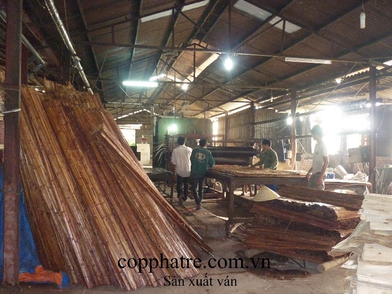 Công Ty CP Công Nghiệp Tre Gỗ Tiến Bộ