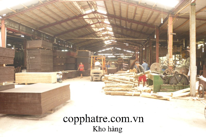 Công Ty CP Công Nghiệp Tre Gỗ Tiến Bộ