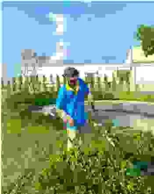 Vệ Sinh Công Nghiệp Miền Tây Xanh – Công Ty TNHH Dịch Vụ Tổng Hợp Miền Tây Xanh