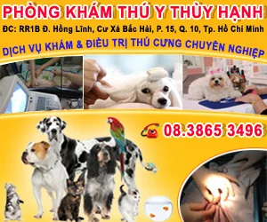 Phòng Khám Thú Y Thùy Hạnh