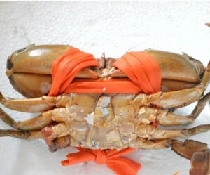 Cua Biển Việt Nam